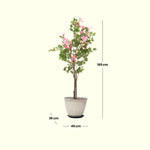 Load image into Gallery viewer, Peach Blossom Artificial Tree  Artificial Tree | Home Decor | Peach Blossom | Peach Flowers
