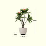 Load image into Gallery viewer, Compact Green and Red Artificial Plant  Artificial Tree | Home Decor | Plants and Flowers

