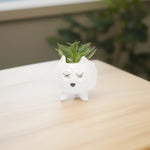 Load image into Gallery viewer, Sleepy Cat Ceramic Planter - Home Decor | Artificial Garden | Ceramic Plater | Cat Planter
