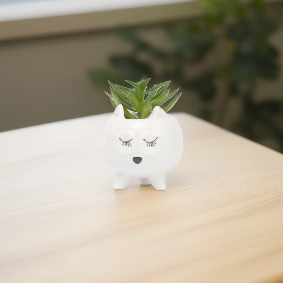 Sleepy Cat Ceramic Planter - Home Decor | Artificial Garden | Ceramic Plater | Cat Planter