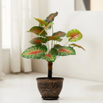 Load image into Gallery viewer, Crimson Crush Artificial Plant - Artificial Plant|Indoor Plant|Decorative Plant|Artificial Greenery|Low-Maintenance Plants|Green DecoR|Nature-Inspired Decor |  Artificial Plants Room Decor | Tropical Fake Plant in Pot
