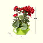 Load image into Gallery viewer, Geranium Teapots(Green) - Flowers For Decor | Green Flowers Decor | Shelves Decor
