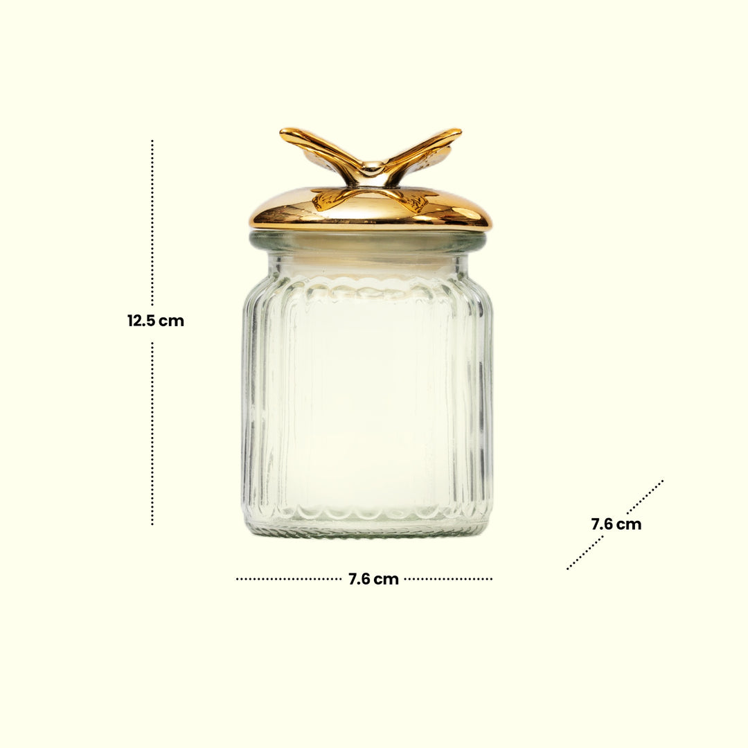 Golden Butterfly Jar Decorative Jar | Jar Decor | Transparent Jar