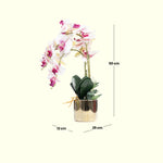 Load image into Gallery viewer, Golden Bloom(Pink) - Flowers For Decor | Pink Flowers Decor | Shelves Decor
