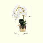 Load image into Gallery viewer, Golden Bloom(Off White) - Flowers For Decor | Off White Flowers Decor | Shelves Decor
