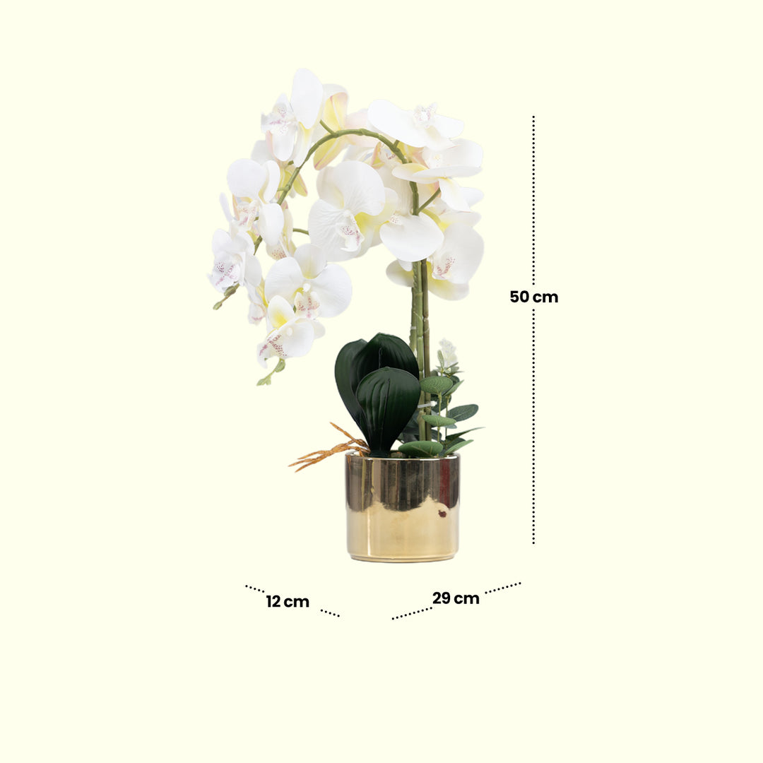 Golden Bloom(Off White) - Flowers For Decor | Off White Flowers Decor | Shelves Decor