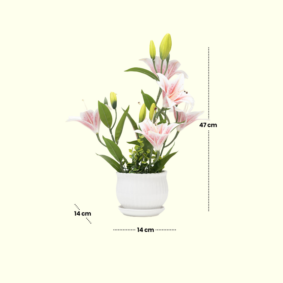 Lily Bloom - Flowers For Decor | Artificial Flowers Decor | Shelves Decor