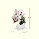 Load image into Gallery viewer, Seashell Orchids(White) - Flowers For Decor | White Flowers Decor | Shelves Decor
