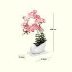 Load image into Gallery viewer, Seashell Orchids(Peach) - Flowers For Decor | Peach Flowers Decor | Shelves Decor
