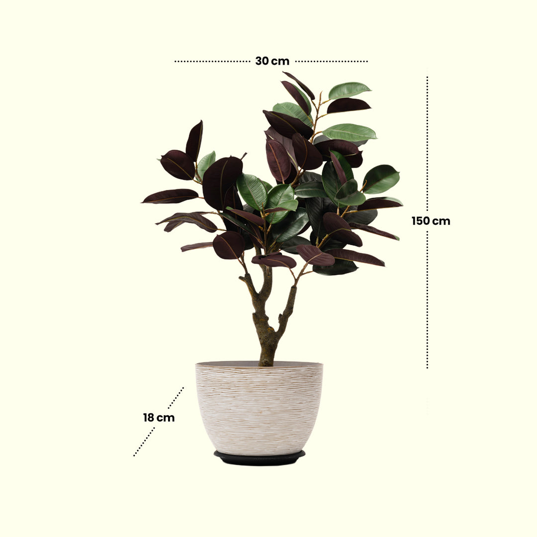 Bold Fiddle Artificial Plant  - Artificial Plant | Indoor Plant|Decorative Plant|Artificial Greenery|Low-Maintenance Plants|Green DecoR|Nature-Inspired Decor |  Artificial Plants Room Decor | Tropical Fake Plant in Pot