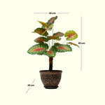 Load image into Gallery viewer, Crimson Crush Artificial Plant - Artificial Plant|Indoor Plant|Decorative Plant|Artificial Greenery|Low-Maintenance Plants|Green DecoR|Nature-Inspired Decor |  Artificial Plants Room Decor | Tropical Fake Plant in Pot

