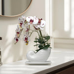 Load image into Gallery viewer, Seashell Orchids(White) - Flowers For Decor | White Flowers Decor | Shelves Decor
