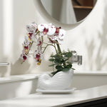 Load image into Gallery viewer, Seashell Orchids(White) - Flowers For Decor | White Flowers Decor | Shelves Decor
