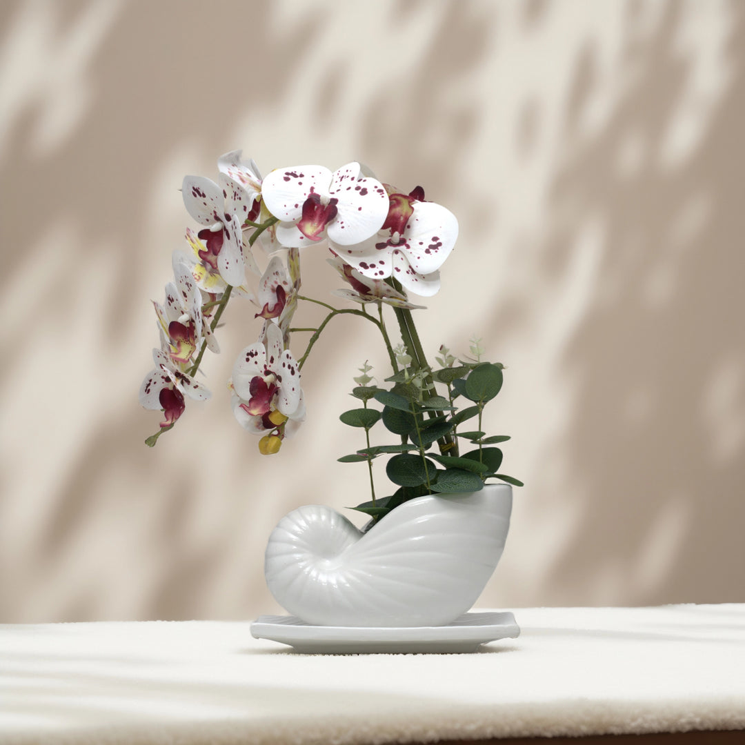 Seashell Orchids(White) - Flowers For Decor | White Flowers Decor | Shelves Decor