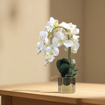 Load image into Gallery viewer, Golden Bloom(Off White) - Flowers For Decor | Off White Flowers Decor | Shelves Decor
