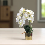 Load image into Gallery viewer, Golden Bloom(Off White) - Flowers For Decor | Off White Flowers Decor | Shelves Decor
