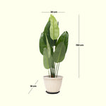 Load image into Gallery viewer, Lush Leaf Artificial Plant  - Artificial Plant | Indoor Plant|Decorative Plant|Artificial Greenery|Low-Maintenance Plants|Green DecoR|Nature-Inspired Decor |  Artificial Plants Room Decor | Tropical Fake Plant in Pot
