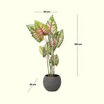 Load image into Gallery viewer, Lush Life Artificial Plant - Artificial Plant | Indoor Plant|Decorative Plant|Artificial Greenery|Low-Maintenance Plants|Green DecoR|Nature-Inspired Decor | Artificial Plants Room Decor | Tropical Fake Plant in Pot&quot;

