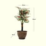 Load image into Gallery viewer, Vibrant Variegated Artificial Plant - Artificial Plant|Indoor Plant|Decorative Plant|Artificial Greenery|Low-Maintenance Plants|Green DecoR|Nature-Inspired Decor | Artificial Plants Room Decor | Tropical Fake Plant in Pot
