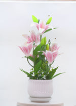 Load and play video in Gallery viewer, Lily Bloom - Flowers For Decor | Artificial Flowers Decor | Shelves Decor
