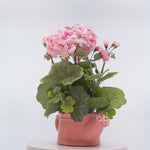 Load and play video in Gallery viewer, Geranium teapots(Peach) - Flowers For Decor | Peach Flowers Decor | Shelves Decor
