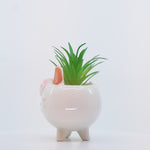 Load and play video in Gallery viewer, Adorable Sheep Ceramic Planter - Home Decor | Artificial Garden | Ceramic Vase | Sheep Planter
